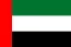 United Arab Emirates national flag icon